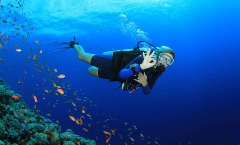 Best places for scuba diving in andaman